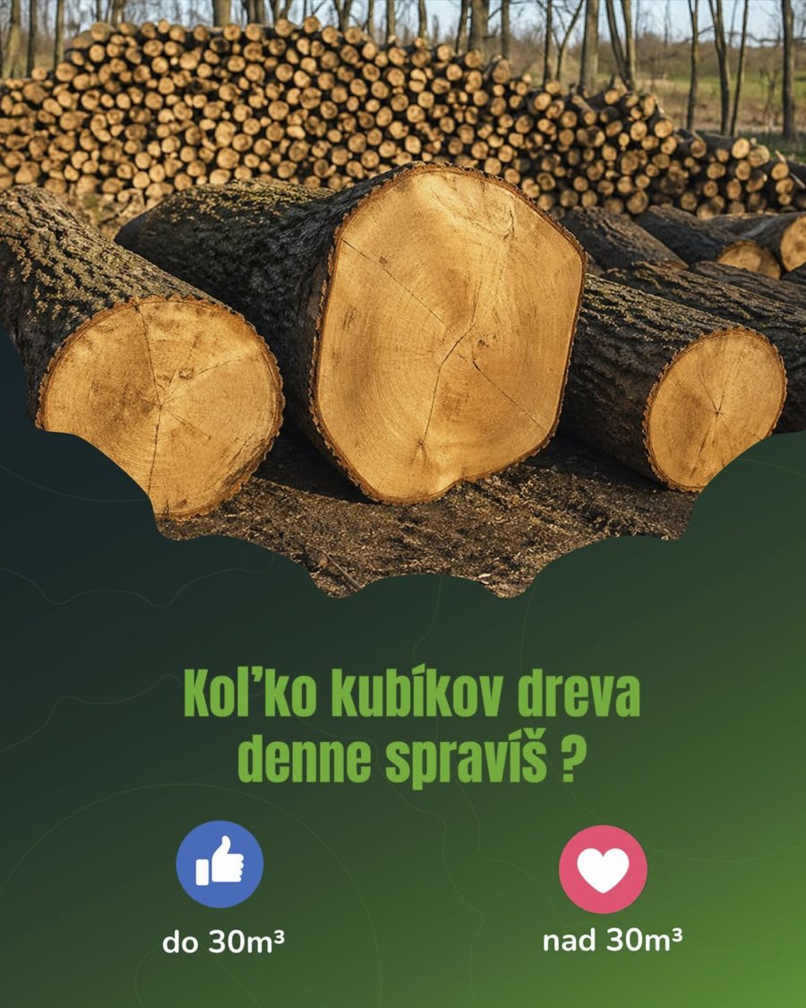 Príspevok ORVEX: Koľko kubíkov dreva denne spravíš?